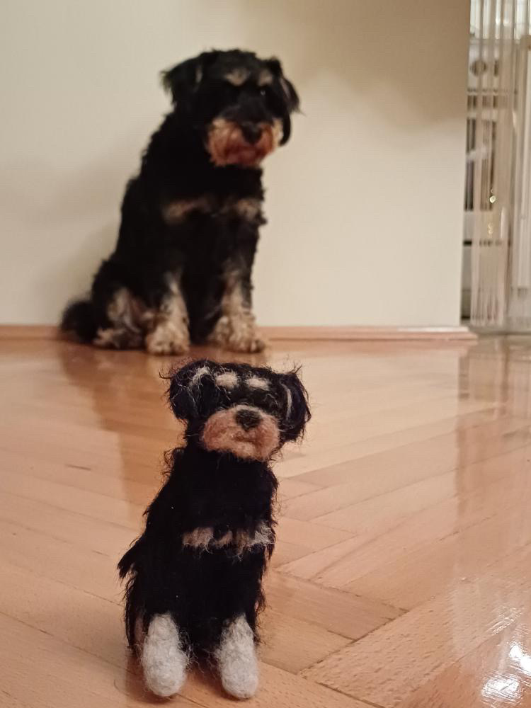 Breloczek z twoim zwierzakiem 10cm - obrazek 8