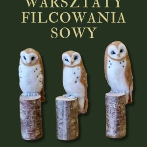 Warsztaty filcowania Sowy Wrocław - 15 listopada